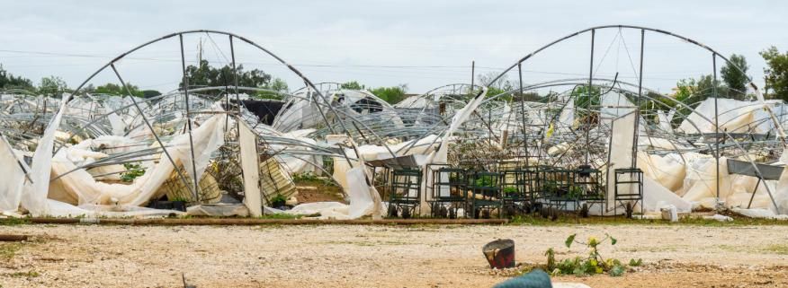 Apoios aos danos causados pela tempestade Kristin